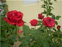 5971bddb-Picture 360.jpg